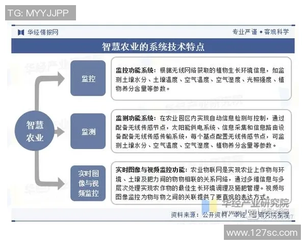深度分析LNG产业运营策略与市场趋势的全面解读