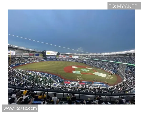 陈放足球的魅力与挑战探索球场内外的激情与团队精神