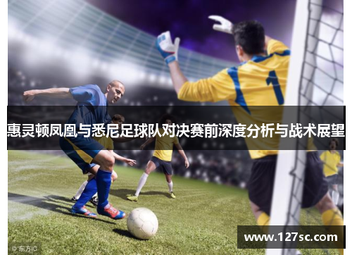 惠灵顿凤凰与悉尼足球队对决赛前深度分析与战术展望 惠灵顿凤凰与悉尼足球队对决赛前深度分析与战术展望