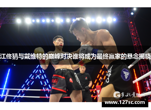 江佟猜与戴维特的巅峰对决谁将成为最终赢家的悬念揭晓