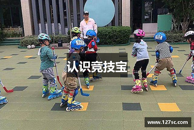 认识竞技宝